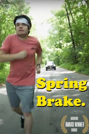 Spring Brake's poster