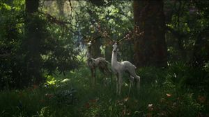 Annihilation's poster