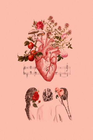 The Beguiled's poster