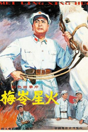 梅岭星火's poster