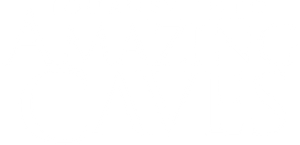 Journey into Amazing Caves's poster