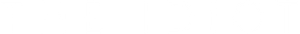 The Idiot's poster