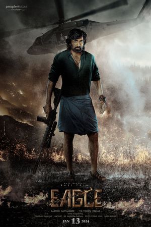 Eagle's poster