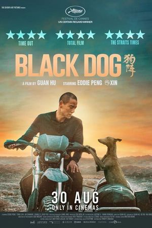 Black Dog's poster