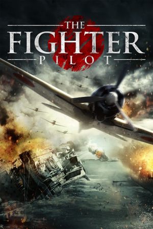 The Fighter Pilot's poster