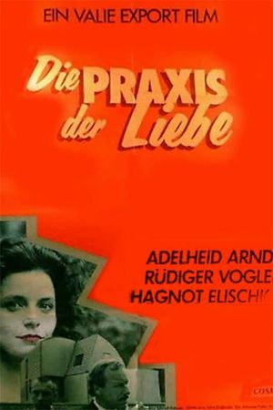 The Practice of Love's poster