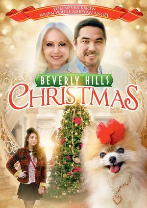 Beverly Hills Christmas's poster