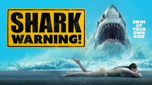 Shark Warning's poster