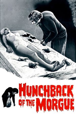 Hunchback of the Morgue's poster