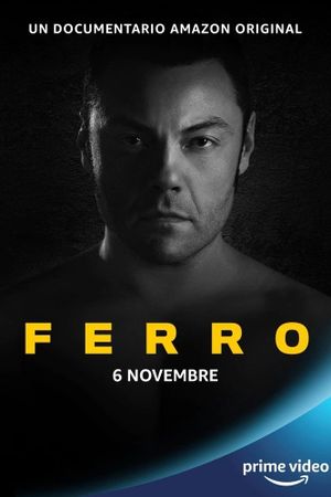 Ferro's poster