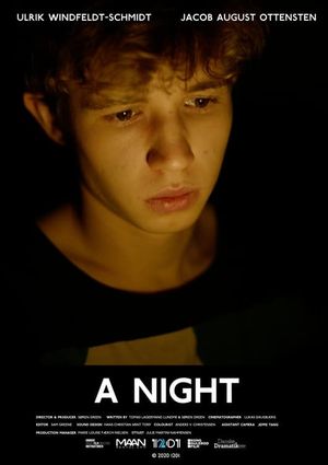 A Night's poster
