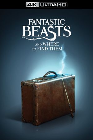 Fantastic Beasts and Where to Find Them's poster