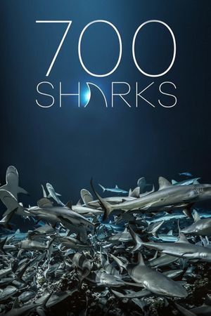 700 Sharks's poster
