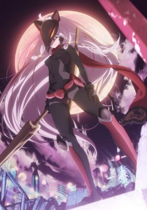 Blackfox's poster