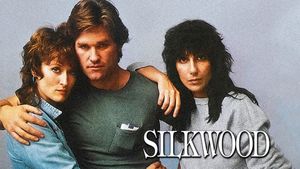 Silkwood's poster