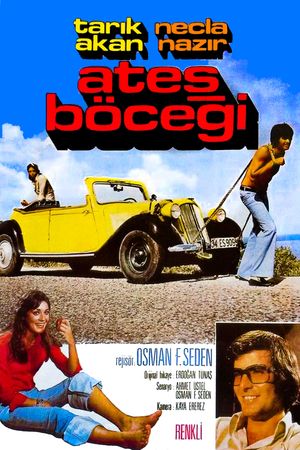 Ates Böcegi's poster image