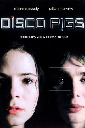 Disco Pigs's poster