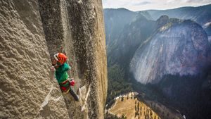 Climbing the Nose's poster