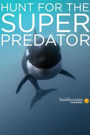 The Search for the Ocean's Super Predator's poster