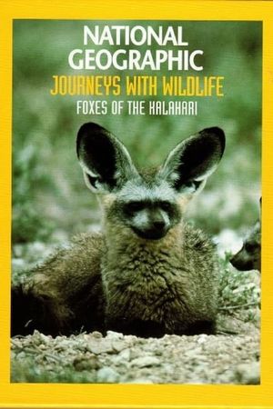 Foxes of the Kalahari's poster