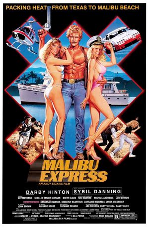 Malibu Express's poster