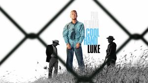 Cool Hand Luke's poster