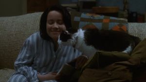 The Truth About Cats & Dogs's poster