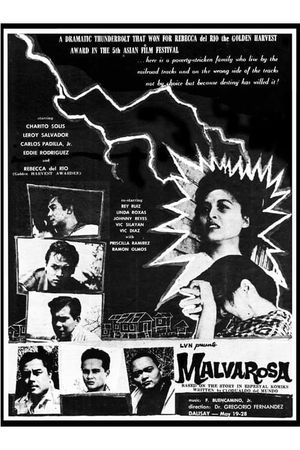 Malvarosa's poster