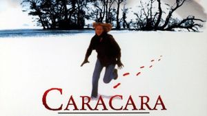 Caracara's poster