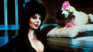 Elvira: Mistress of the Dark's poster