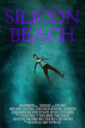Silicon Beach's poster