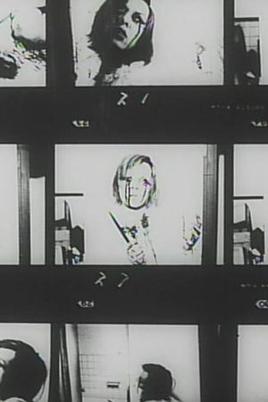 Funeral Parade of Roses's poster
