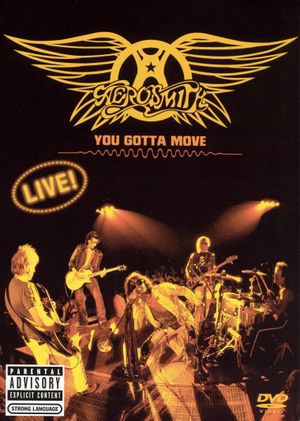 Aerosmith - You Gotta Move's poster