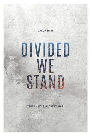 Divided We Stand's poster