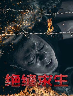 绝缝求生's poster