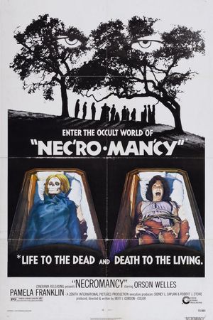 Necromancy's poster