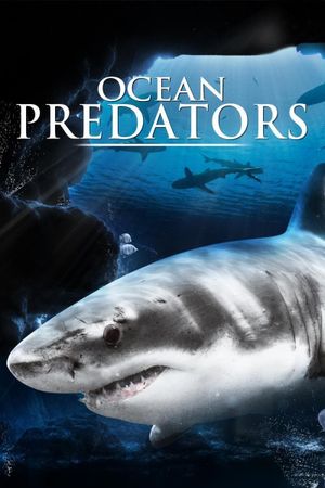 Ocean Predators's poster image