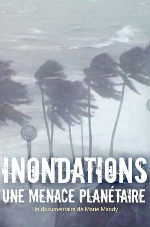 Inondations : une menace planétaire's poster