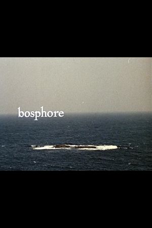 Bosphore's poster