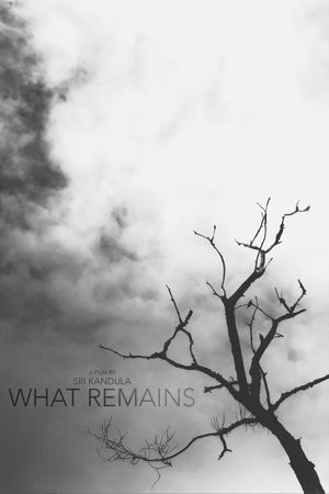 What Remains's poster