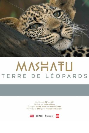 Mashatu, terre de léopards's poster