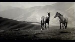 There Are Horses's poster