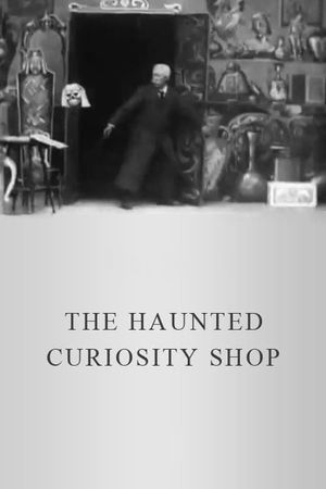 The Haunted Curiosity Shop's poster image