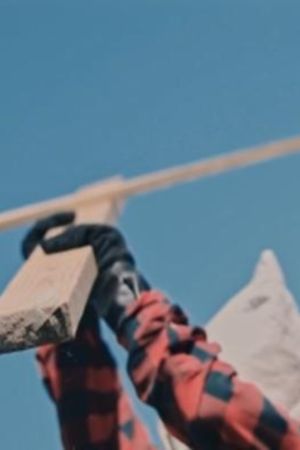 Scarecrow's poster