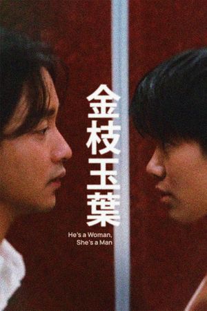 He's a Woman, She's a Man's poster