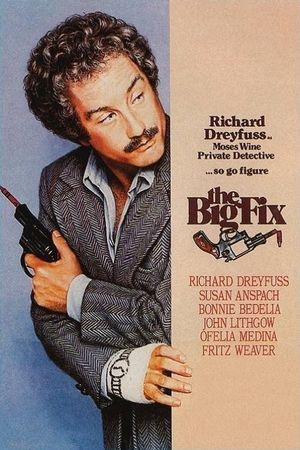 The Big Fix's poster