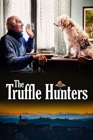 The Truffle Hunters's poster