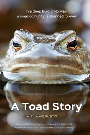 A Toad Story's poster