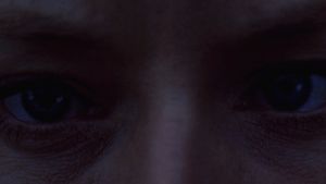Contact's poster