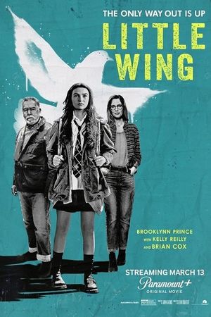 Little Wing's poster